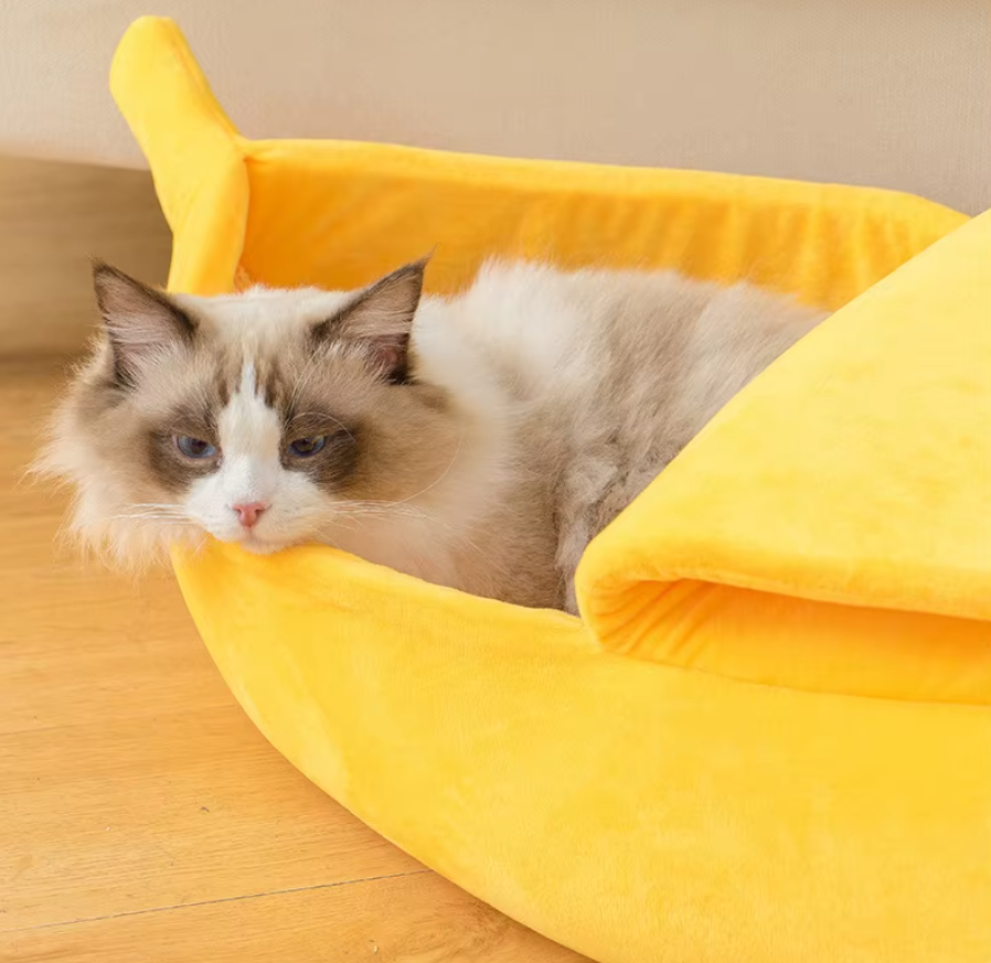 Tail&Paws ™ Chillnana