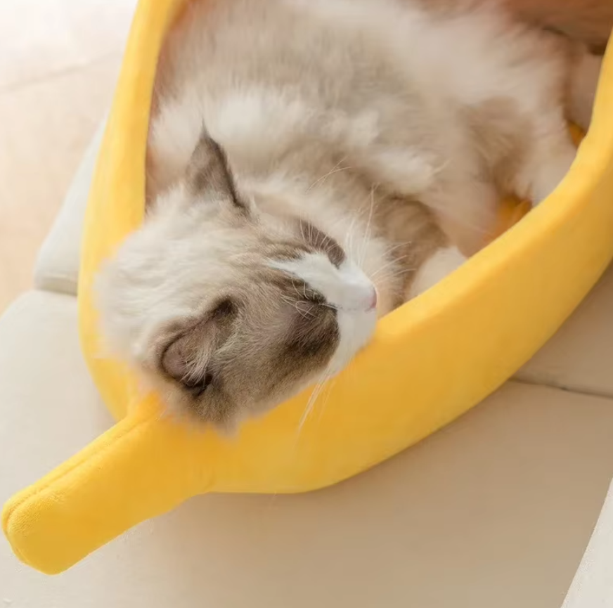 Tail&Paws ™ Chillnana