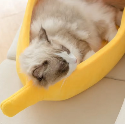 Tail&Paws ™ Chillnana