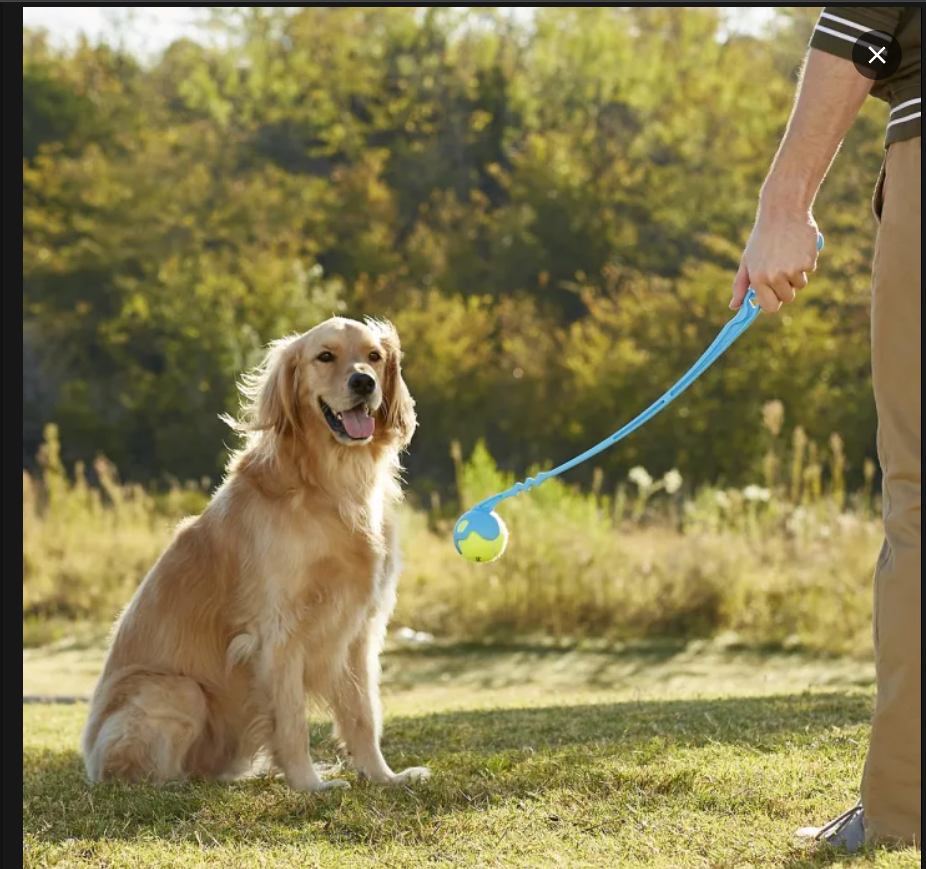 Tails & Paws™Pet Throwing Stick